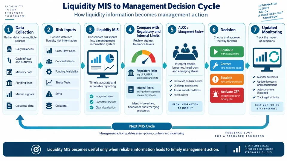 Process diagram showing how liquidity data is converted into MIS, reviewed against limits and used by ALCO for liquidity decisions.